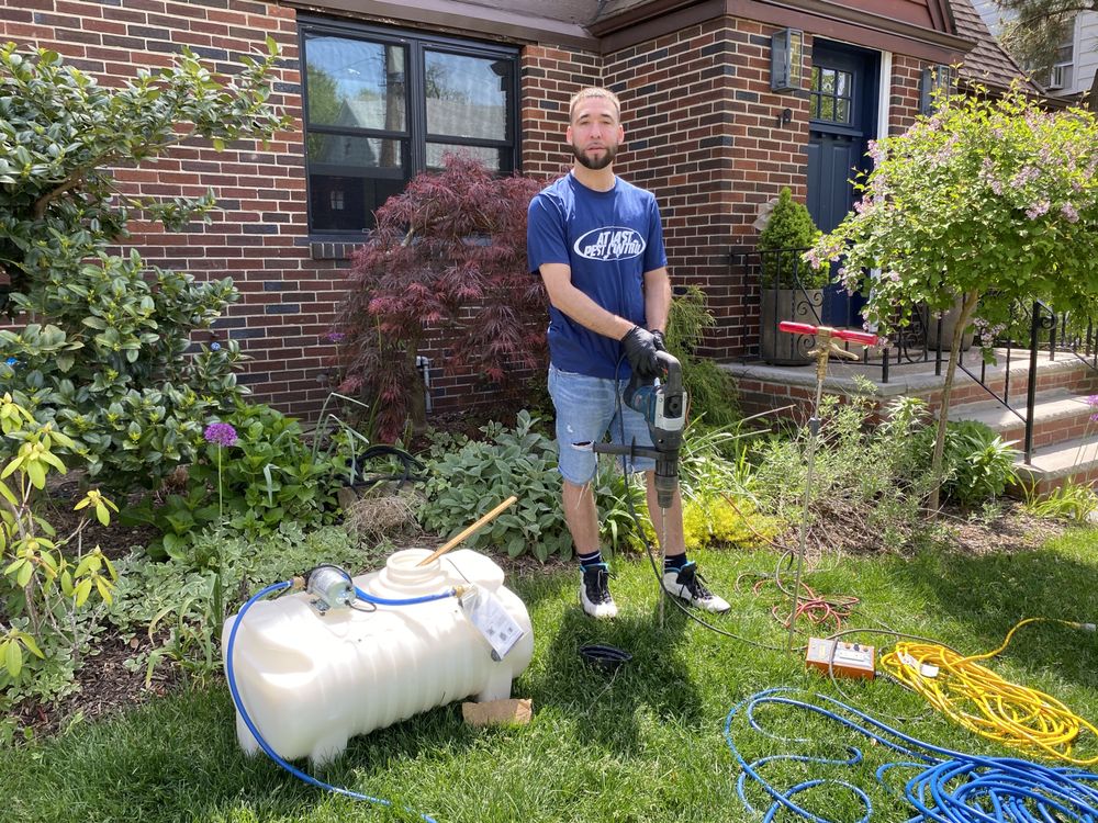At Last pest extermination At Last pest extermination